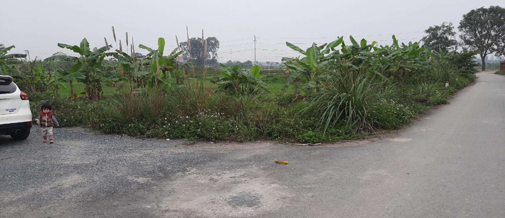 Cần bán nhanh lô góc tại khu đấu giá Phương khê   