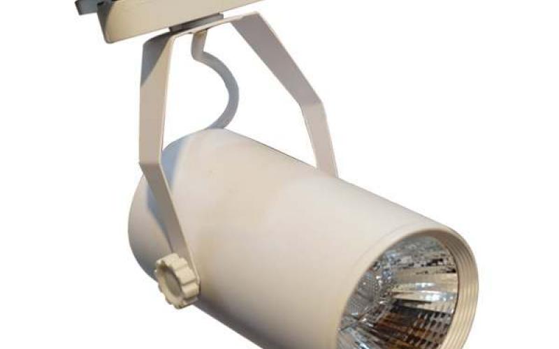 Đèn rọi ray ống